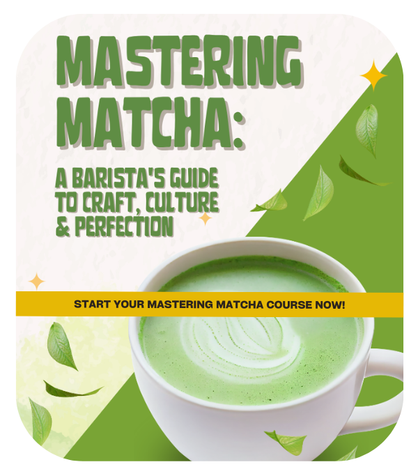 Mastering Matcha_RW Golden Matcha Partner
